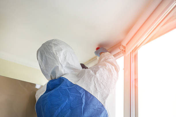 Shavano Park, TX Mold Removal Company